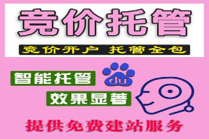 百度推广公司案例解析：如何利用百度推广实现快速转化